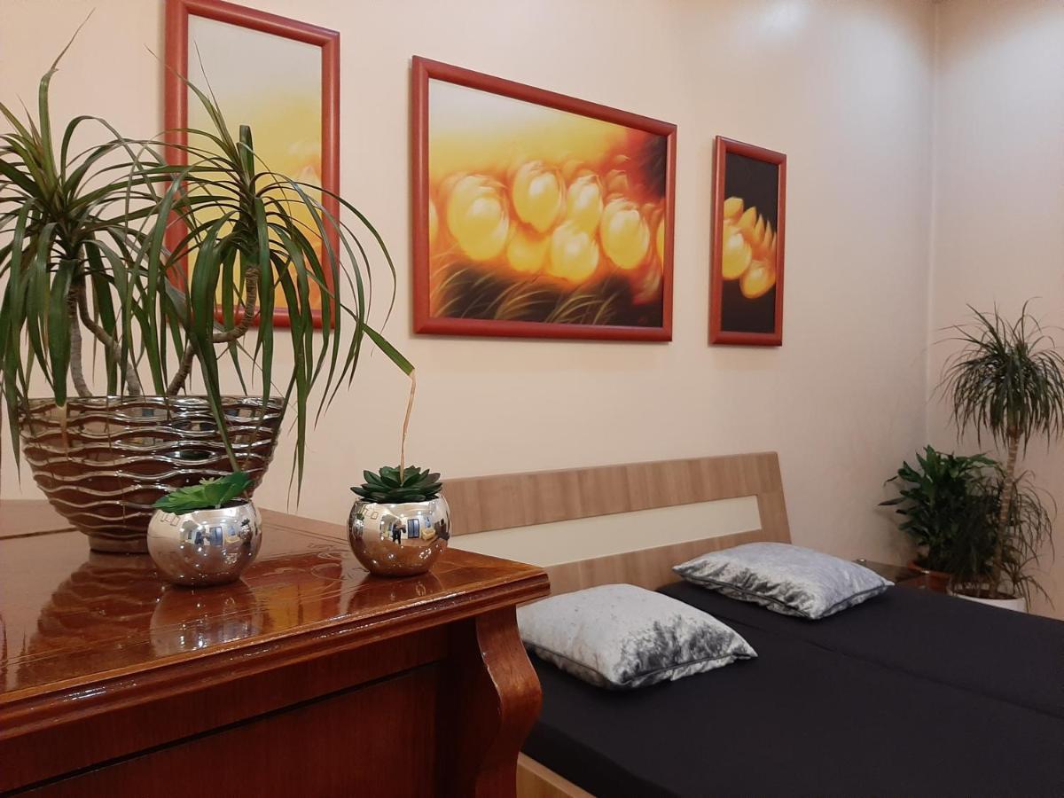 Dr Apartment 노비사드 외부 사진